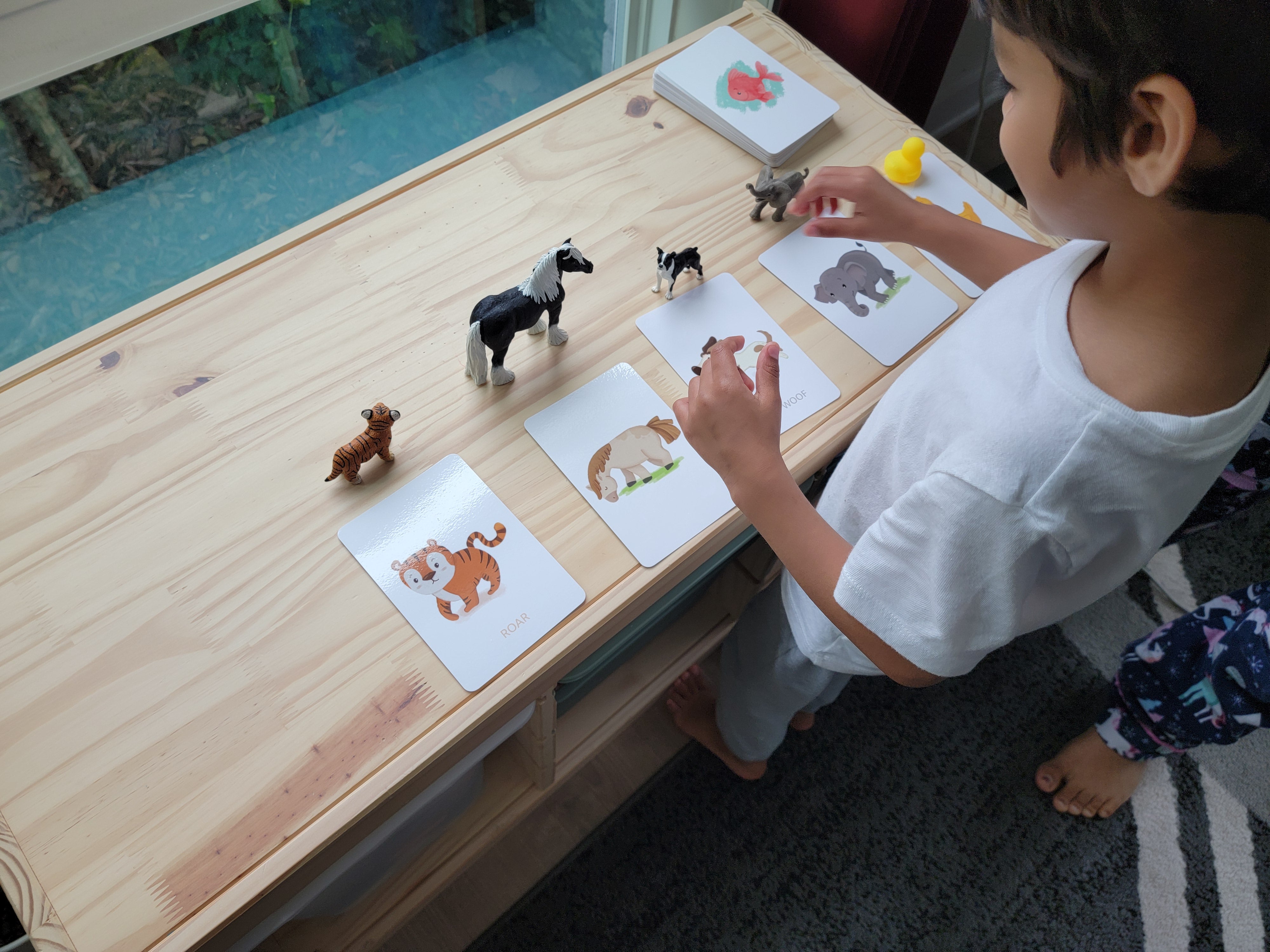 Gujarati-English Flash Cards Bundle : figurines