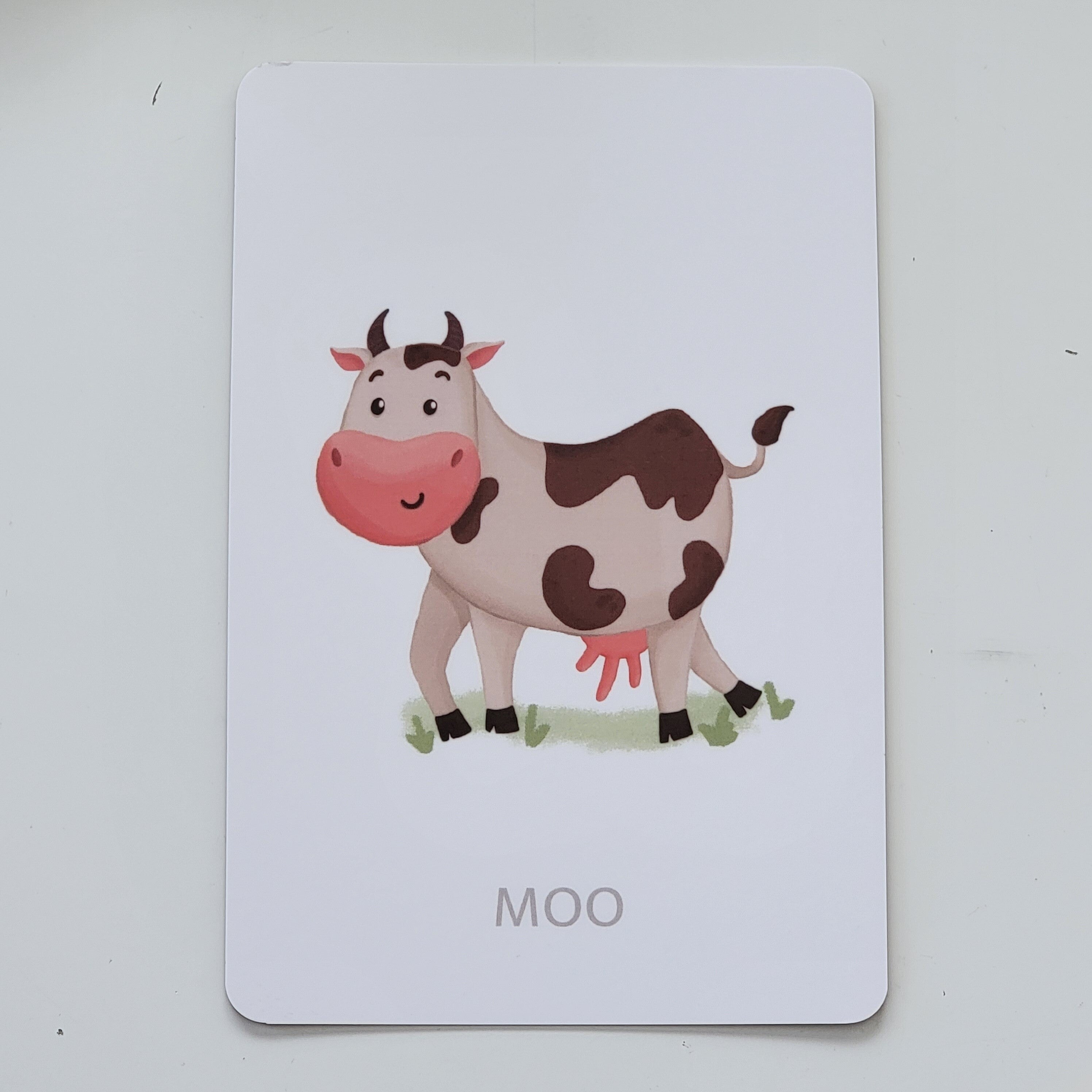 Gujarati-English Flash Cards Bundle : gai, moo moo
