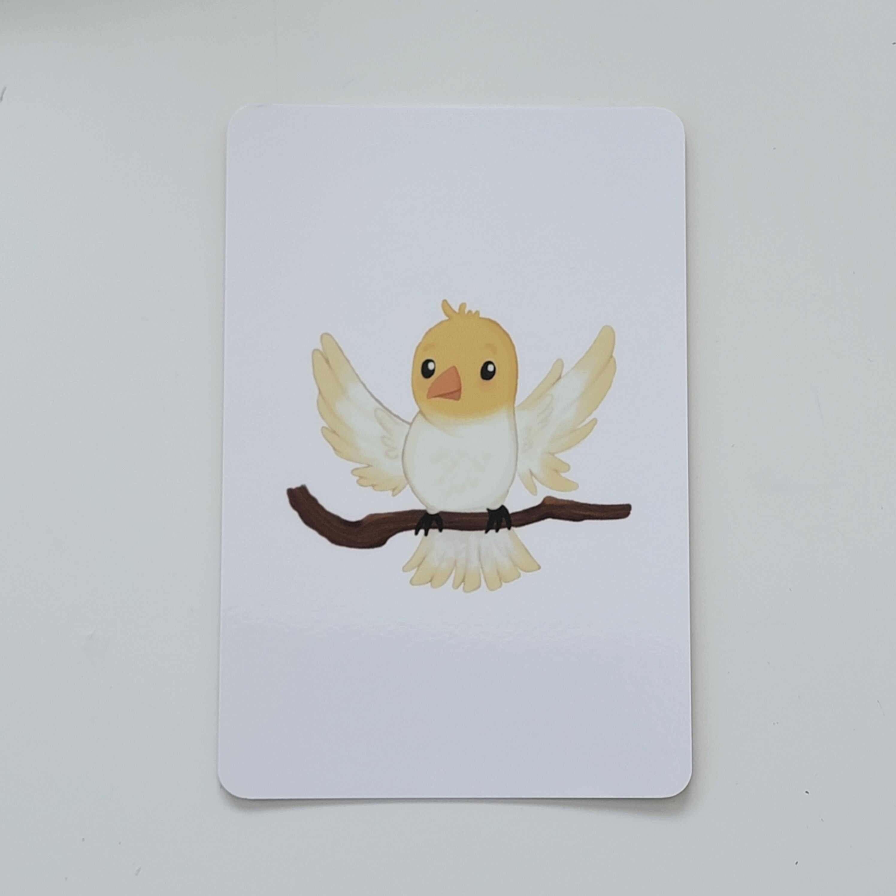 Gujarati-English Flash Cards Bundle : pankhi, chidhiya