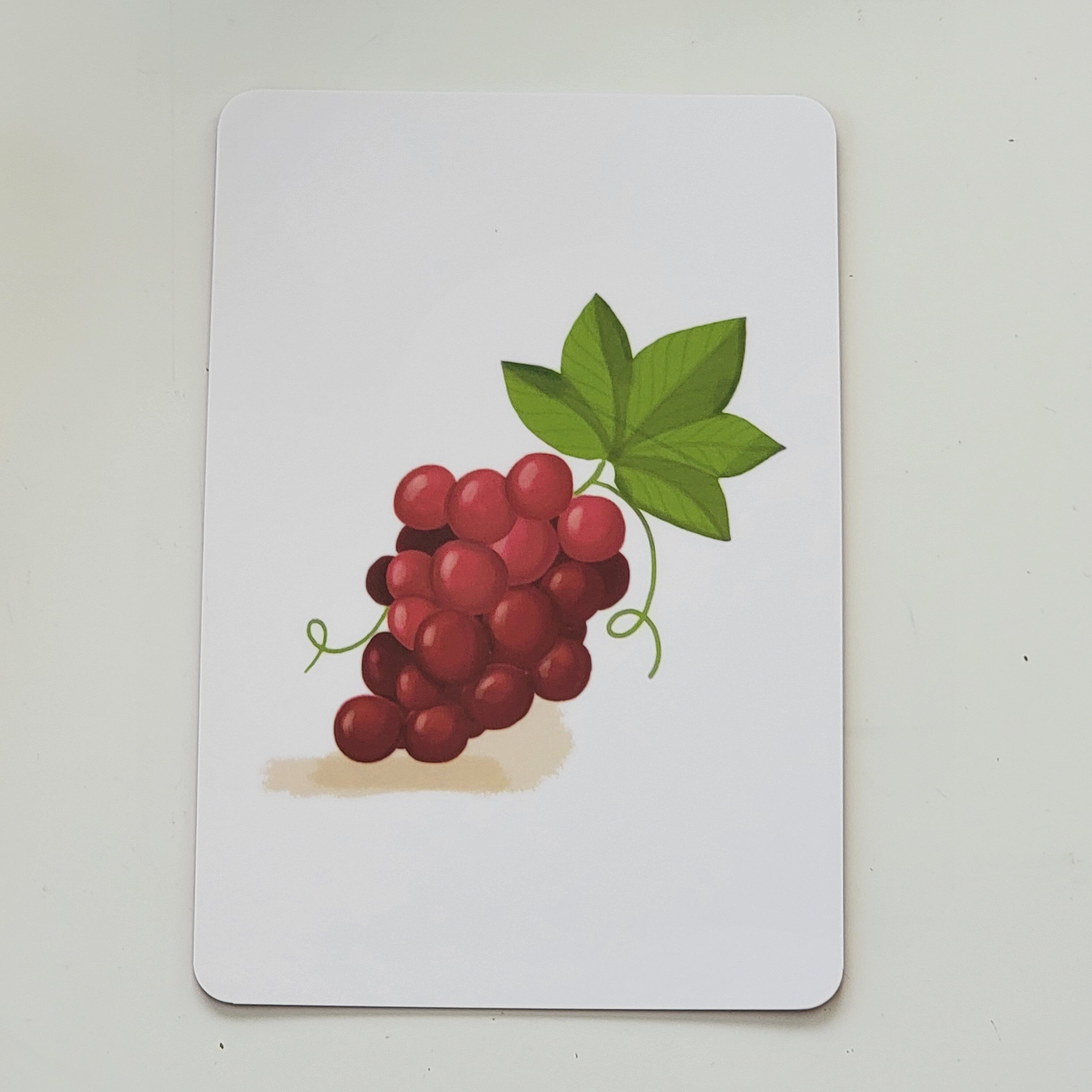 Gujarati-English Fruits and Nuts Flash Cards