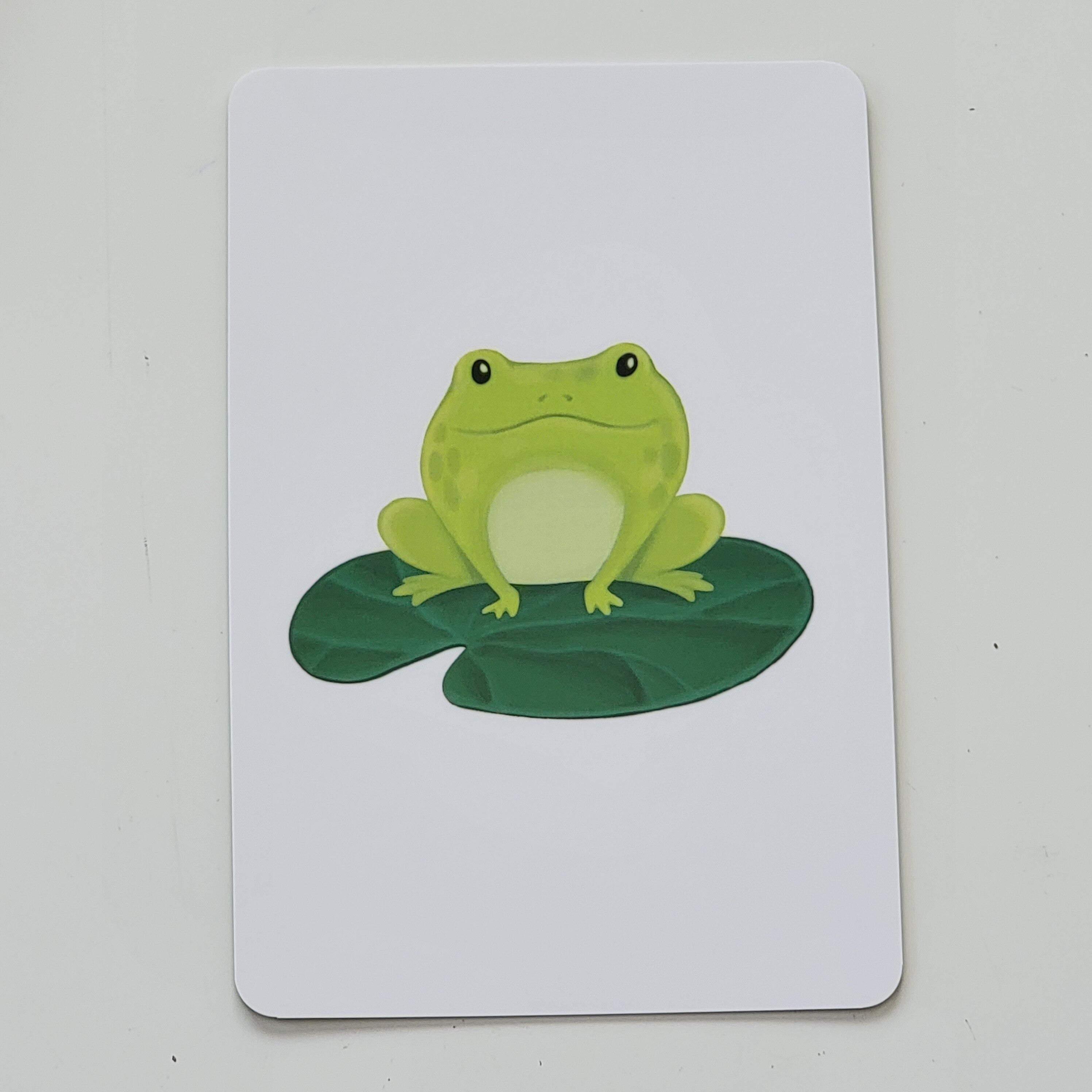Gujarati-English Flash Cards Bundle : frog