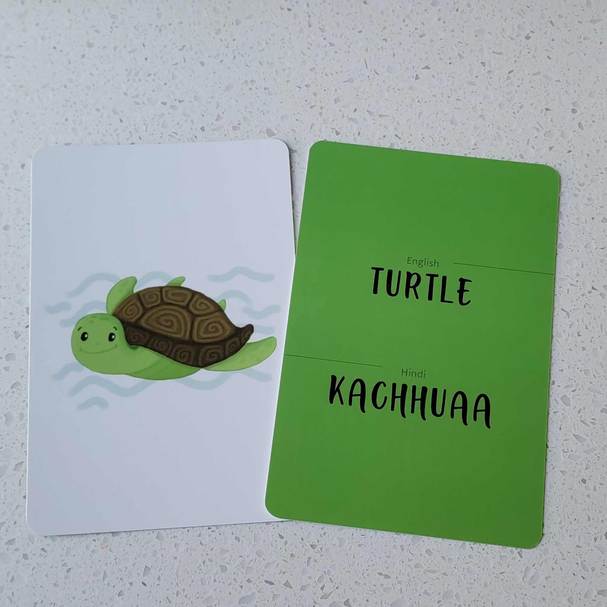 best language learning tools, kaacha, kaacchu, turtle