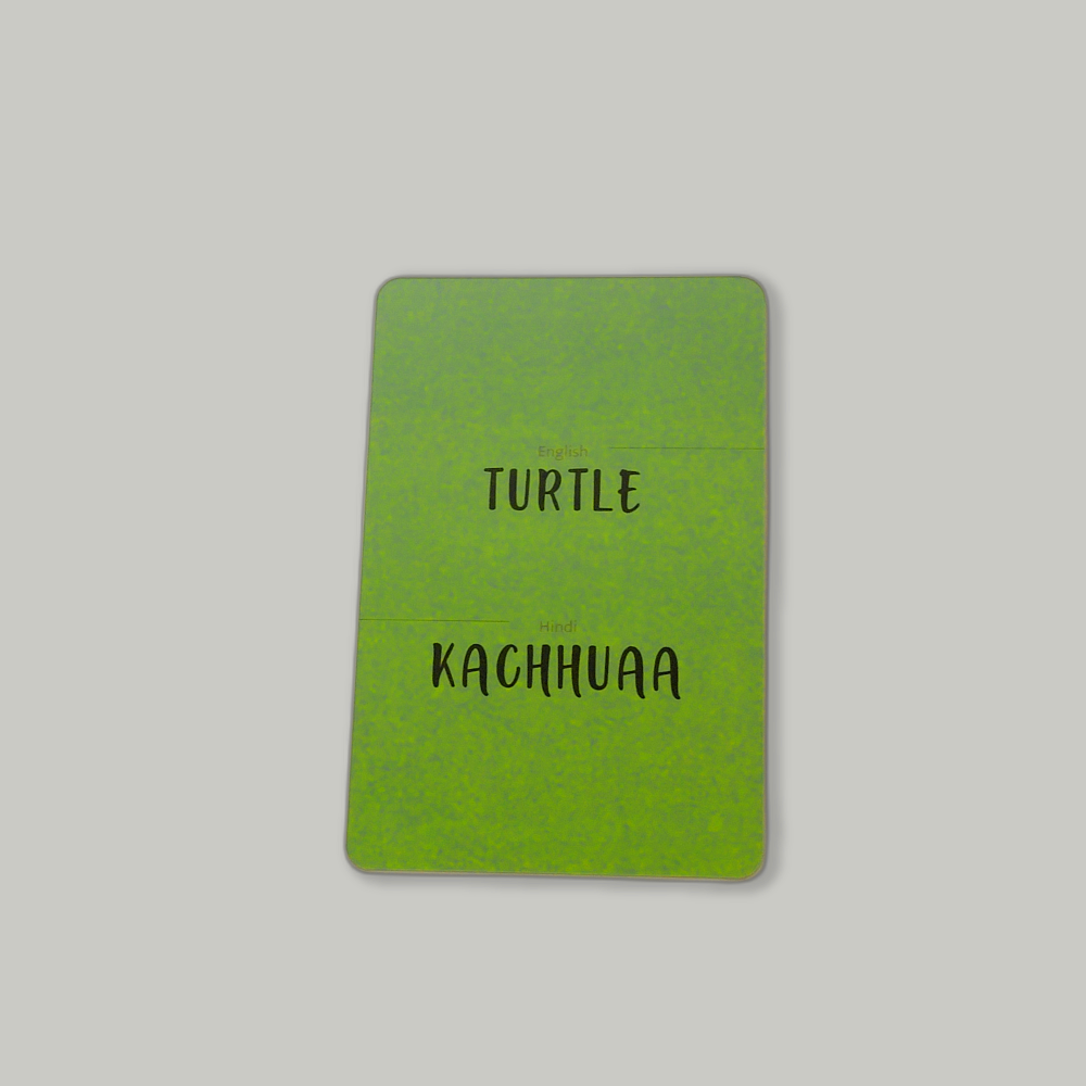 kachhua