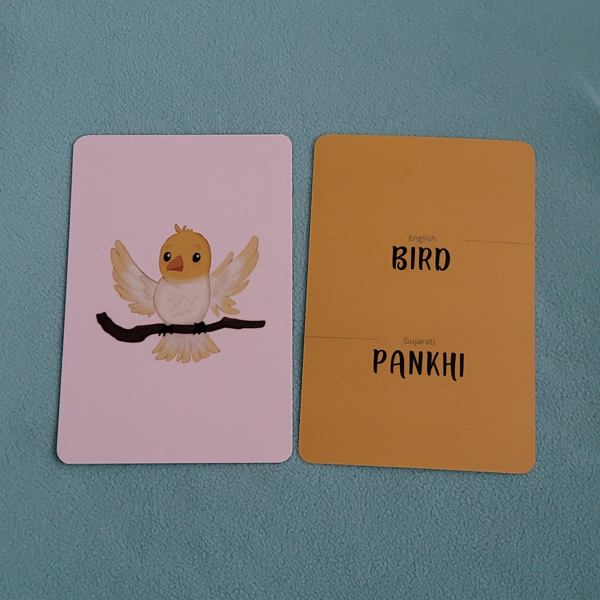 Bird in English, pankhi in gujarati flash card