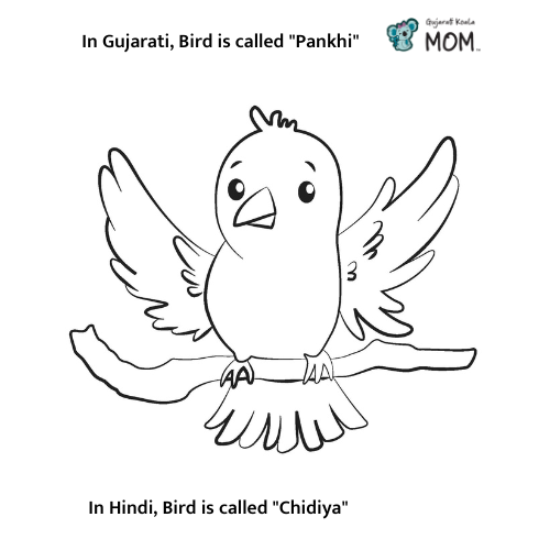 Gujarati Koala Mom, Gujarati and Hindi word for Bird, printable coloring sheet. 