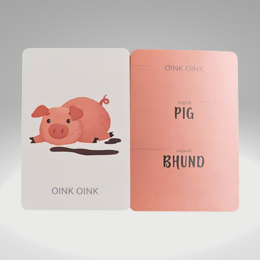 Pig in English, Bhund in Gujarati flash card. 