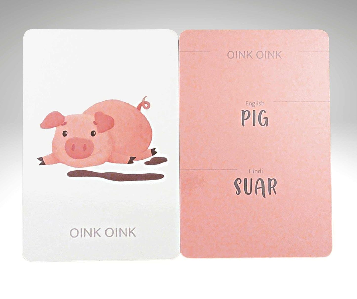 Pig in English, Suar in Hindi flash card translation. pig in the mud